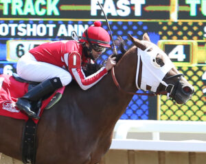 FIGHT TO GLORY - L 'Etoile Du Nord Stakes - 05-05-18 - R02 - CBY - Action