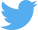 twitter blue icon