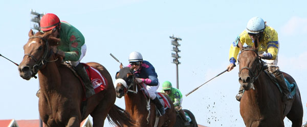 Badge Of Glory - Frances Genter Stakes - 07-04-13 - R08 - CBY - Under Rail Finish