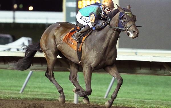 Hold for More - 2015 Horse of the Meet
