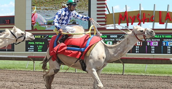 extreme race day canterbury park 2021