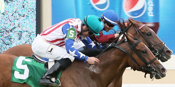 Dead Heat