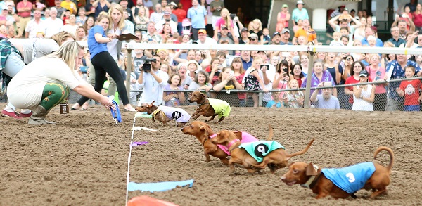 Coco crosses the finish line in first.