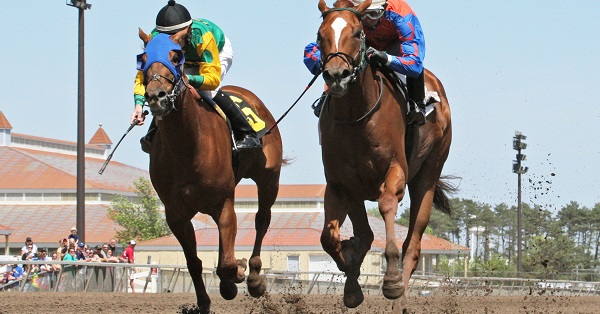 Canterbury Park horseracing