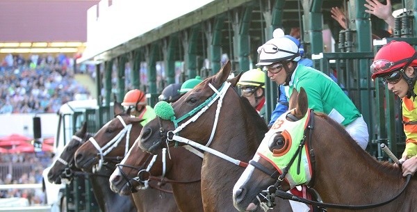 Canterbury Park horses