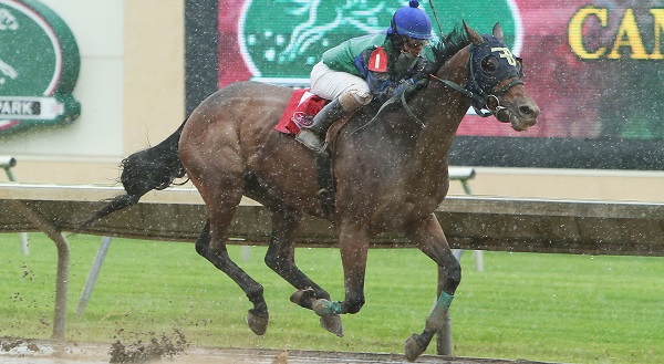 Hold for More wins 10,000 Lakes Stakes