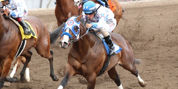 One Famous Sign, the fastest qualifier for the Gopher State Derby.