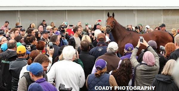 American Pharoah