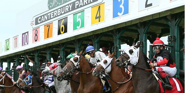 Canterbury Park horses