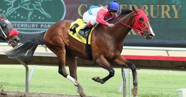 Wings Locked Up wins Dark Star Cup