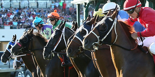 Canterbury Park