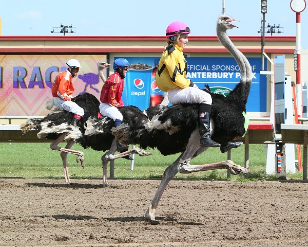 canterbury park extreme race day 2018