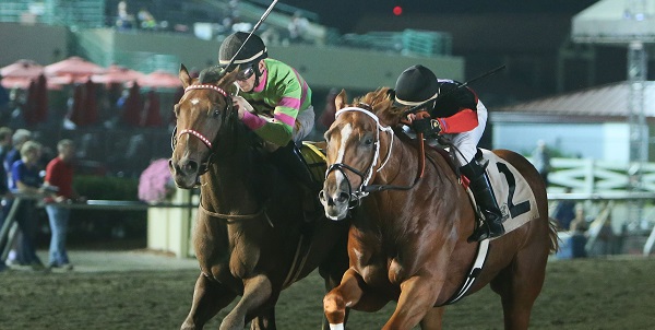 Malibu Pro won the $50,000 John Bullit Stakes via disqualification Friday night at Canterbury Park.