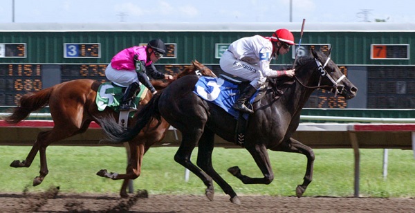 Hogy wins the 2011 Barenscheer Juvenile