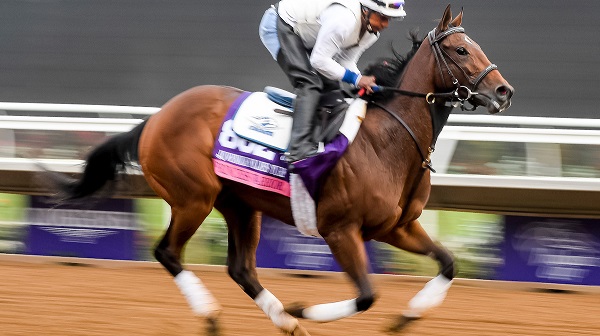 DEL MAR, CA - OCTOBER 27: Princess Warrior, owned by Evan Trommer, Matthew Trommer & Andrew Trommer and trained by Kenneth G. McPeek, exercises in preparation for the 14 Hands Winery Breeders' Cup Juvenile Fillies at Del Mar Thoroughbred Club on {mothname} 27, 2017 in Del Mar, California. (Photo by Scott Serio/Eclipse Sportswire/Breeders Cup)