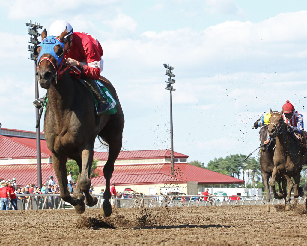Experience Owning a Racing Horse: Canterbury Racing Club | Canterbury Park