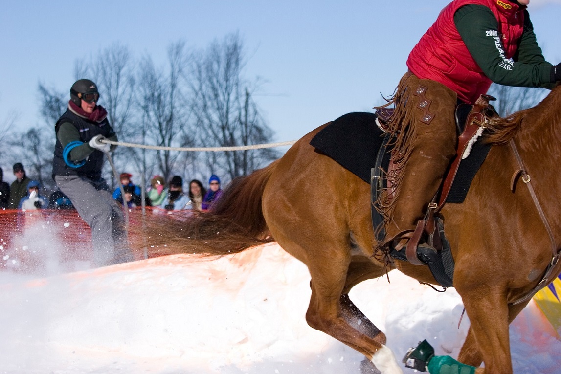 Skijoring is coming to Canterbury Park Feb. 17, 2018.