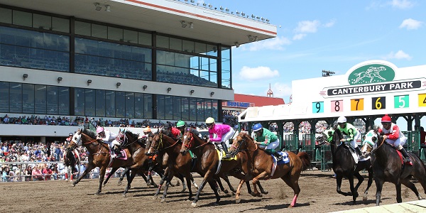 Horse racing at Canterbury Park in Minnesota.