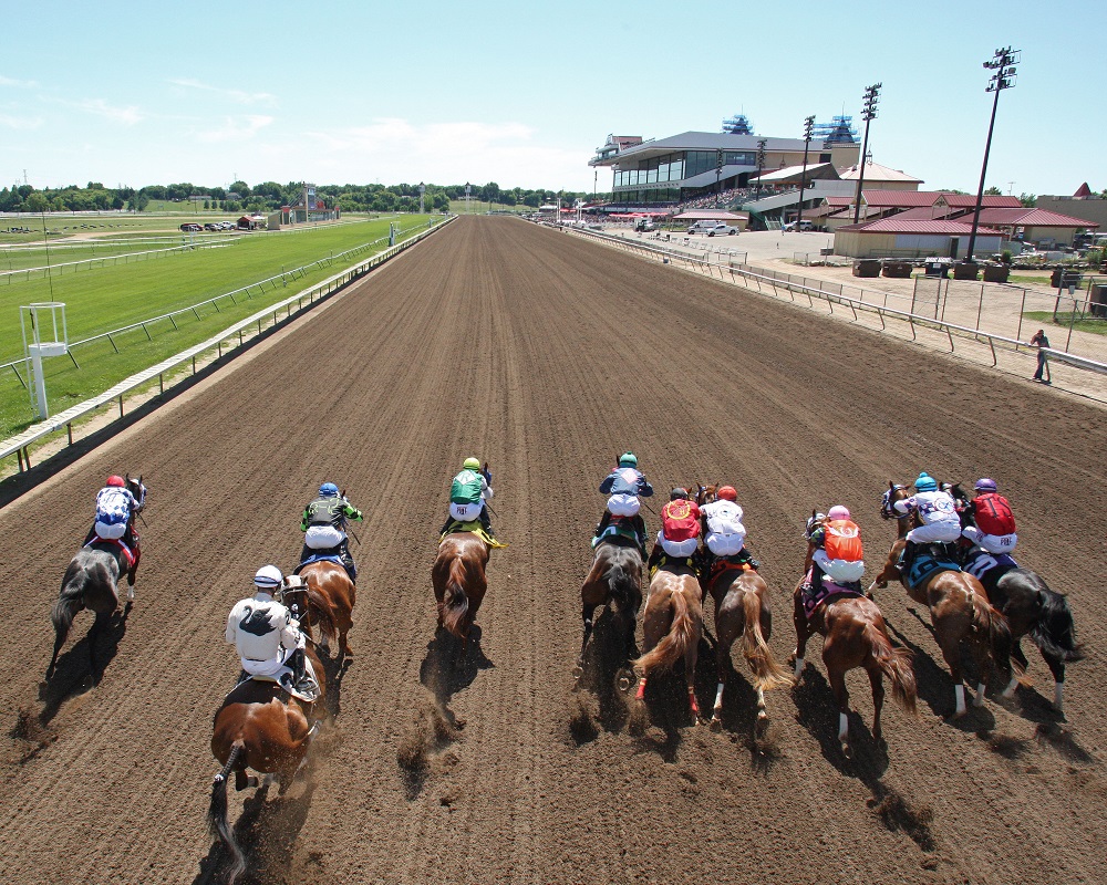 Live horse racing at Canterbury Park in Minnesota.