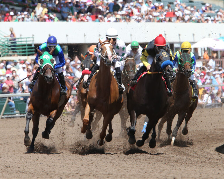Guide for FirstTime Visitors to Canterbury Park Canterbury Park