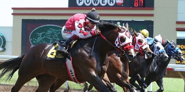 DISCO WAGON - Canterbury Park Quarter Horse Derby - 07-08-18 - R04 - CBY - Stretch