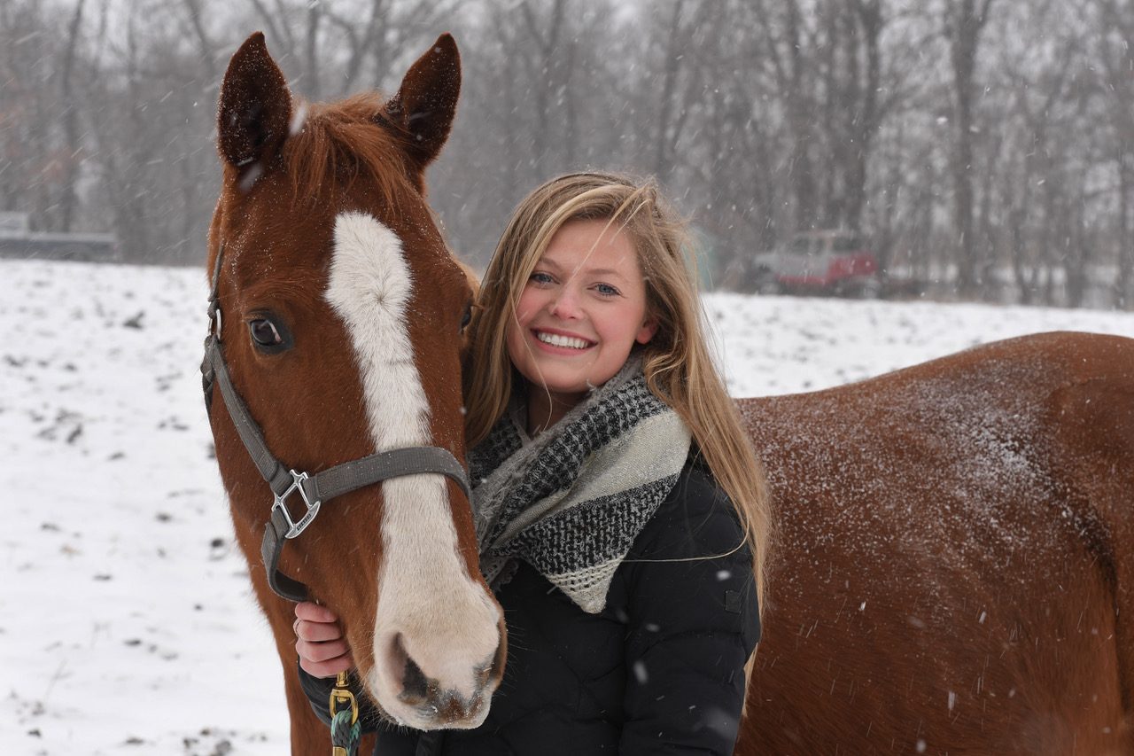 Skijoring at Canterbury Park