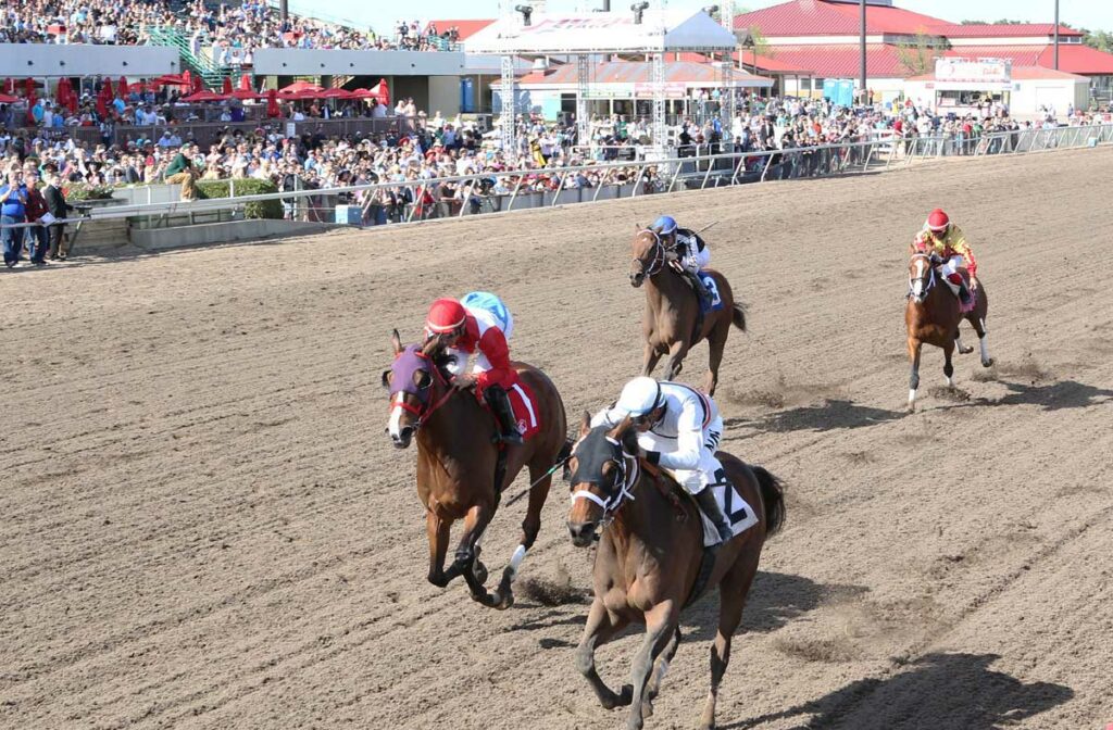 Canterbury Park Racebook & Simulcast Horse Racing Schedule