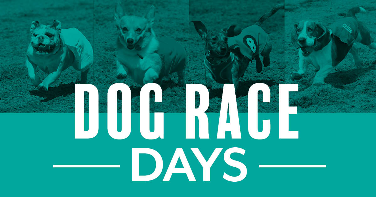 Dog Race Days