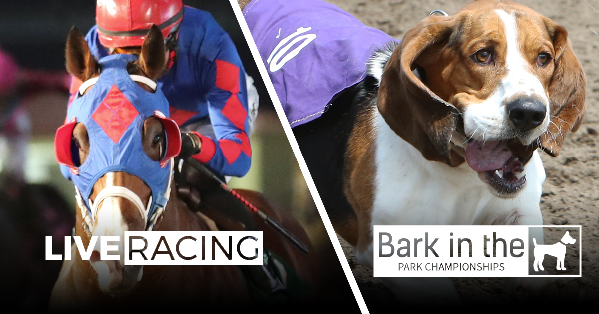 Live Racing + Bark in the Park Championships