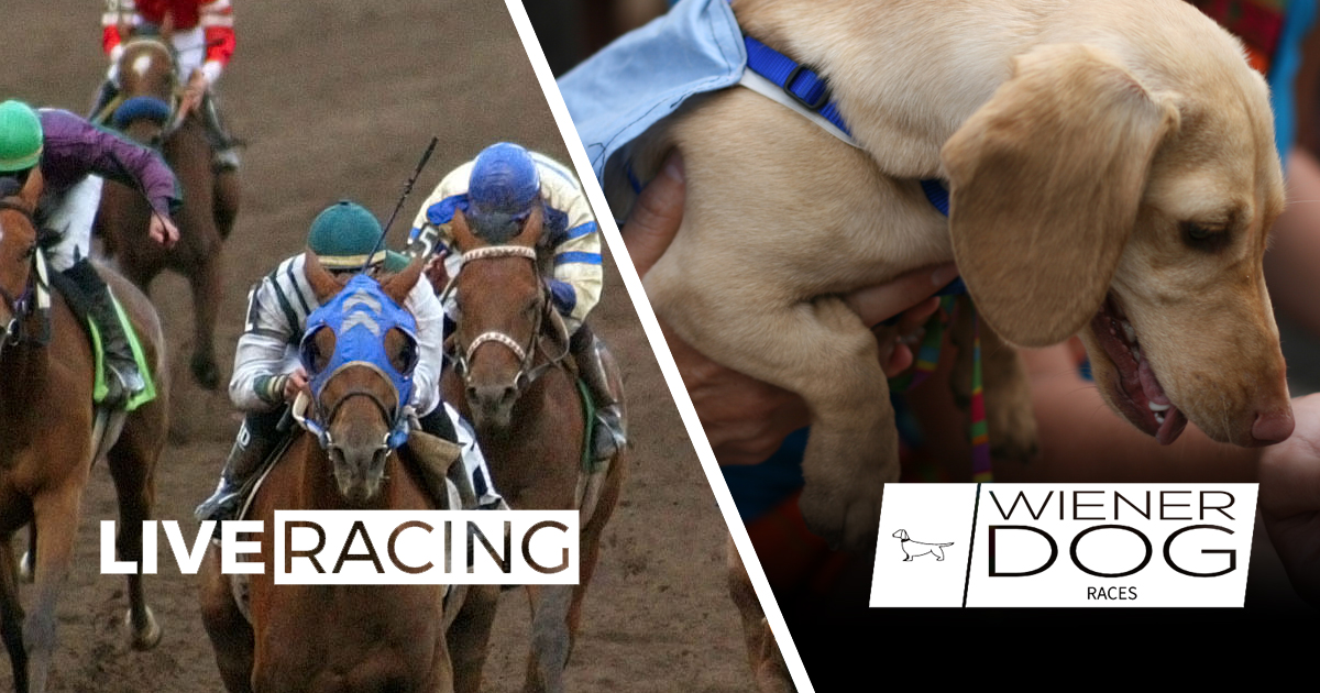 Live Racing + Wiener Dog Races