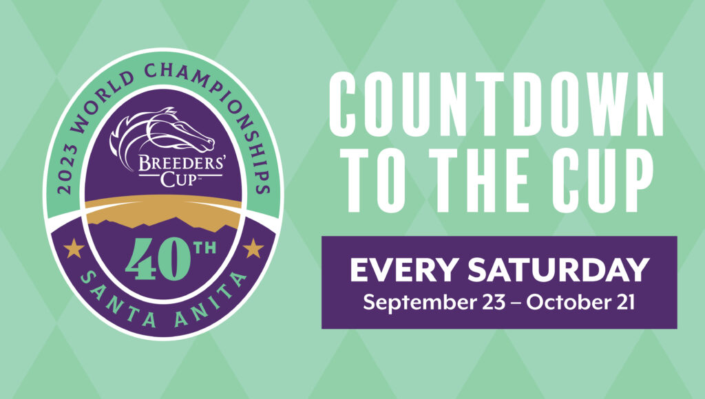 Countdown to the Cup