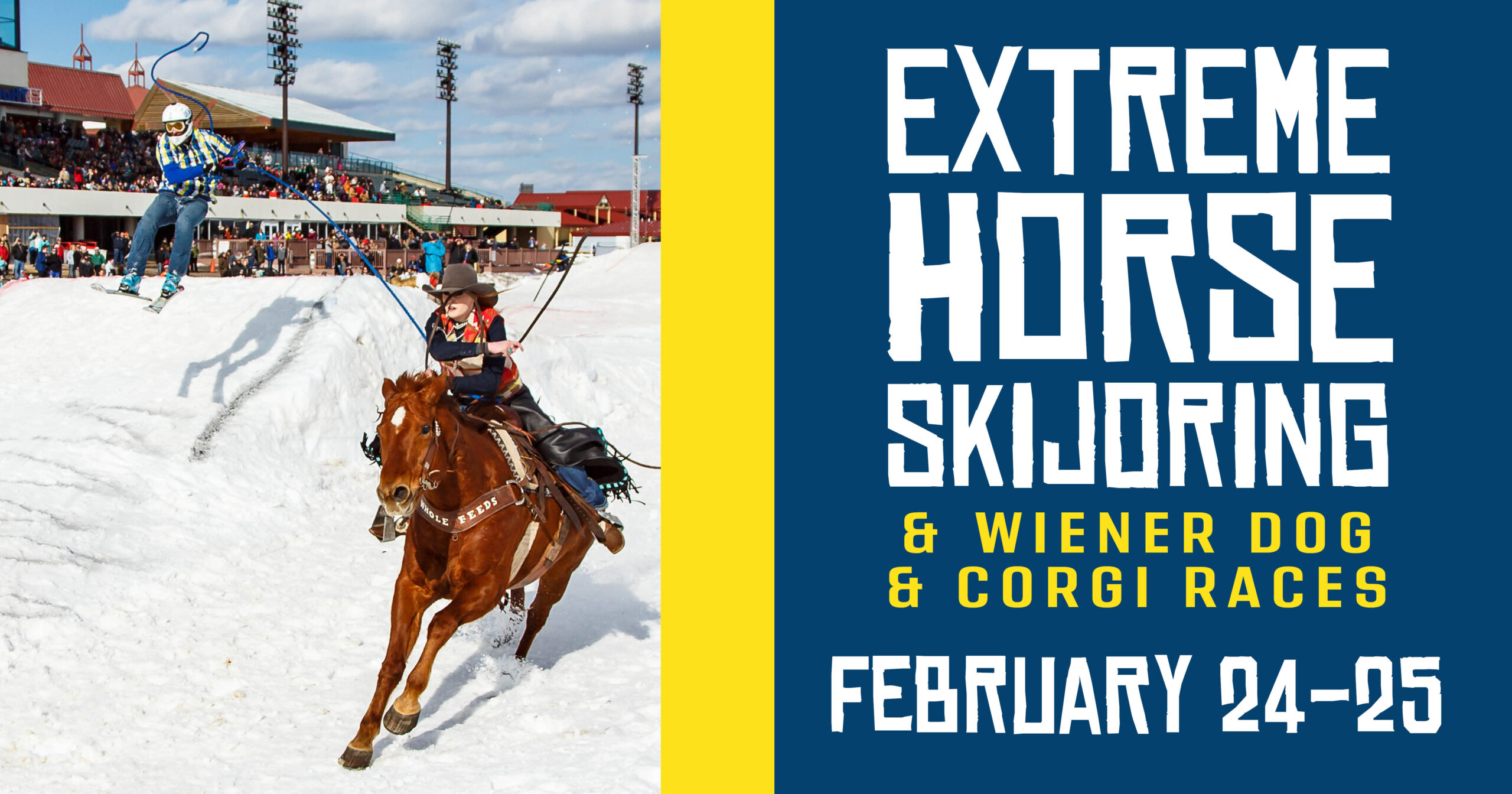 Horse Skijoring