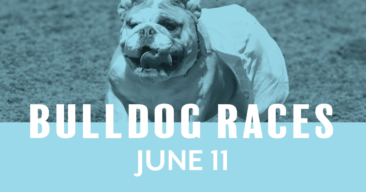 Bulldog Races