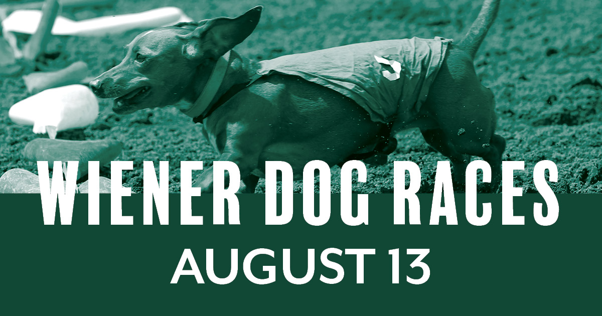 Wiener Dog Races 