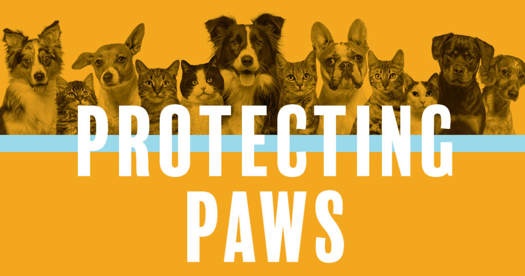Protecting Paws Charity Add-on: April 16