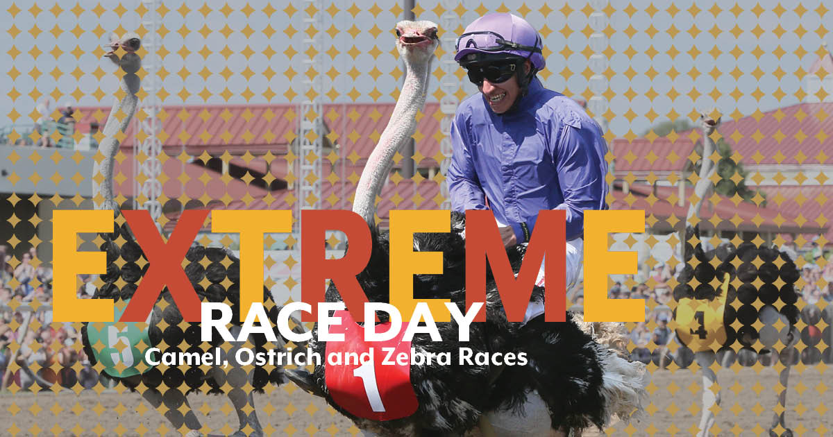 Extreme Race Day