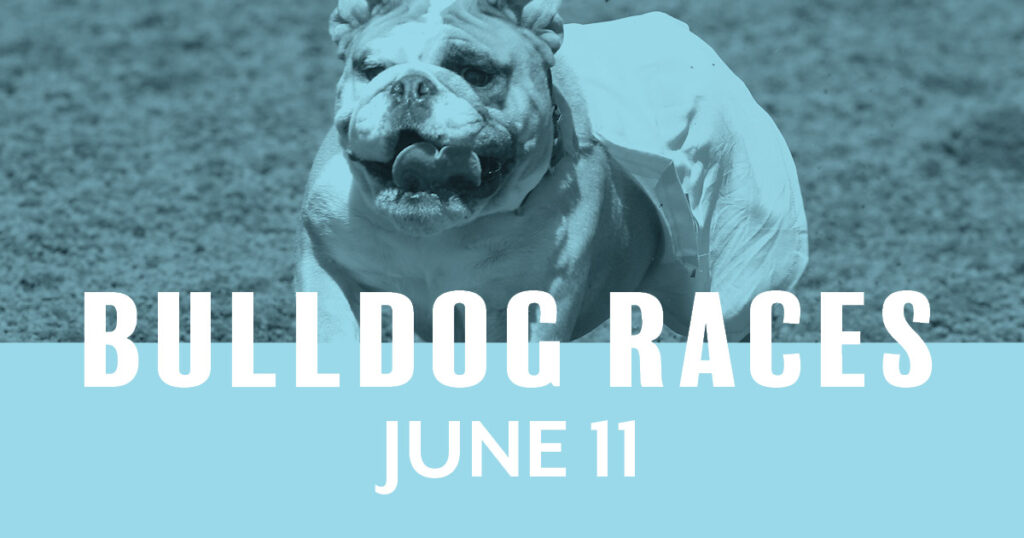 Bulldog Races