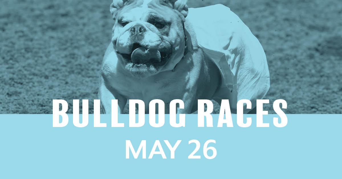 Bulldog Races