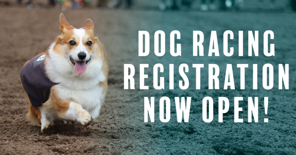 Dog Race Registration