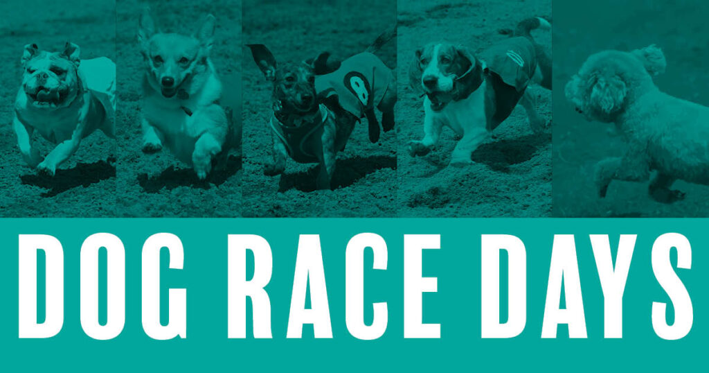 Dog Race Days
