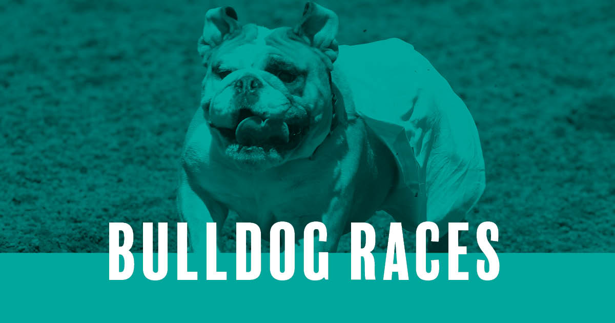 Bull Dog Races