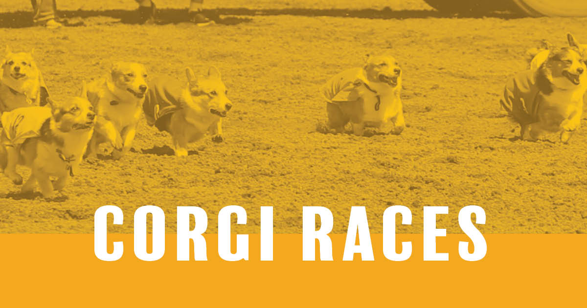 Corgi Races