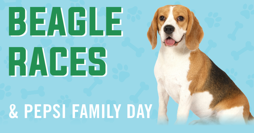 Beagle Races