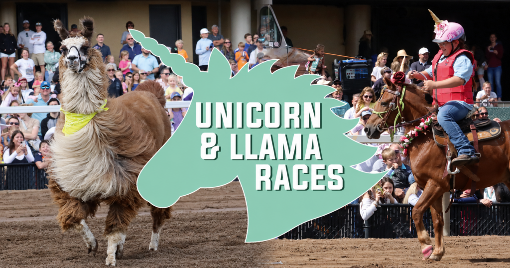 Unicorn & Llama Races