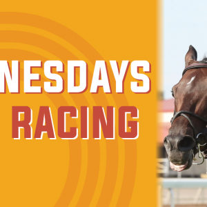 2026_LiveRacing_Web_Updated