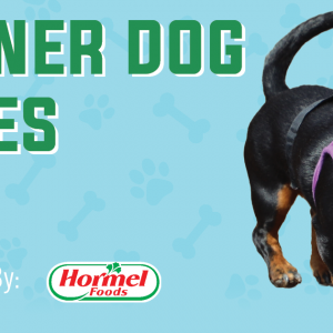 2026_WienerDog_Web3